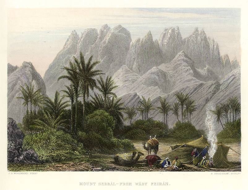 40 wadi feiran (free ancestor images)
